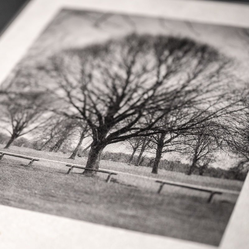 Best Fine Art Paper for Giclée Prints SpectrArt HK Fine Art Print