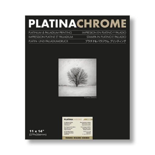 Platinachrome 11x14"