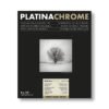 Platinachrome 8X10"