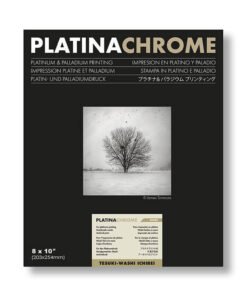 Platinachrome 8X10"