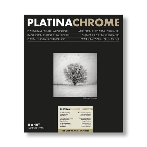 Platinachrome 8X10"