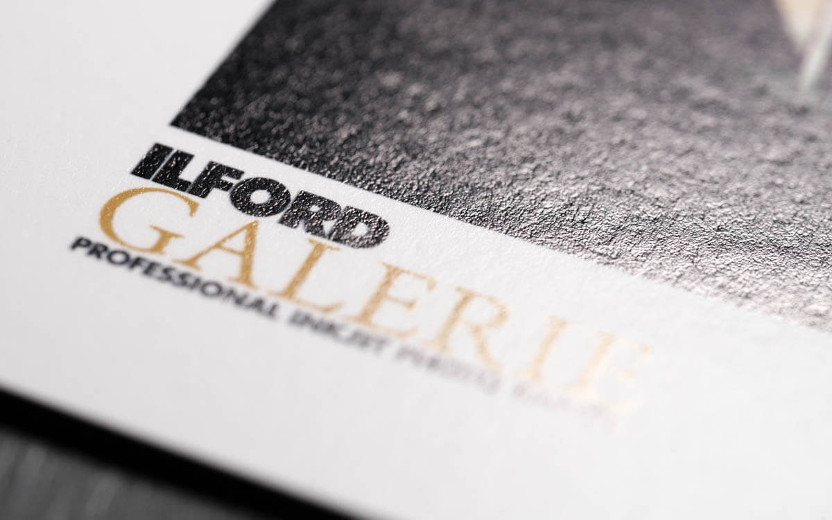 ILFORD Gold Fibre Rag