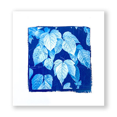 Cyanotype Print